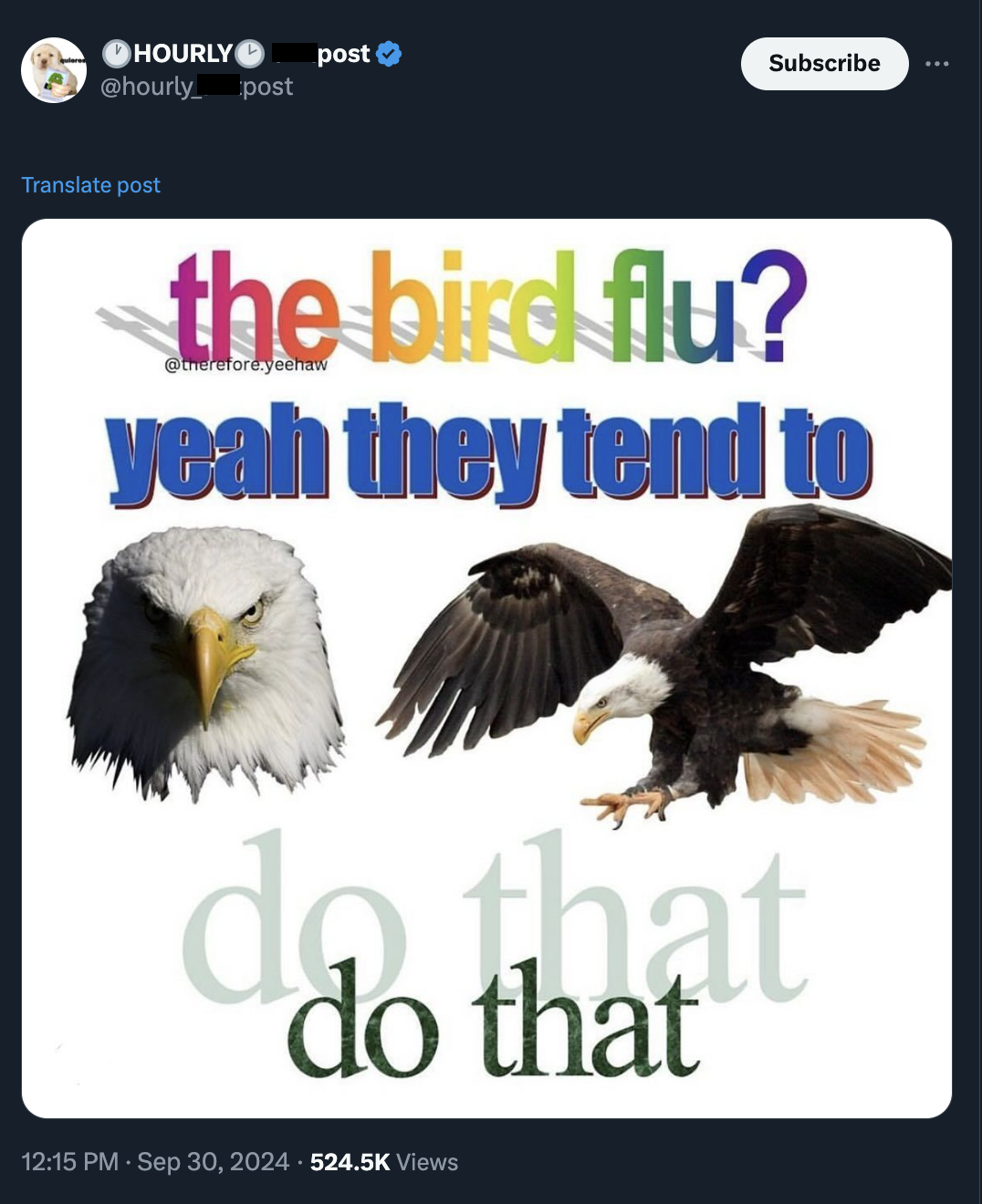 bald eagle - Hourly post Translate post post Subscribe the bird flu? yeem yeah they tend to do that do that Views